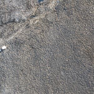 Meet your Posher, Bennett